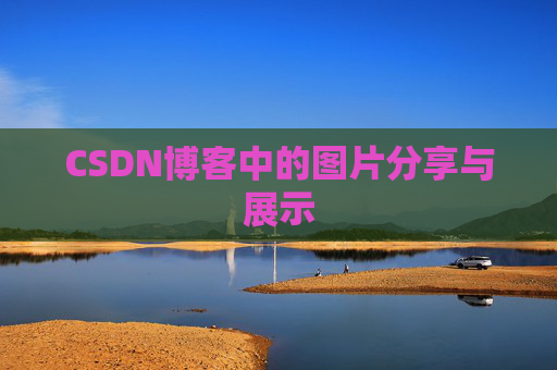 CSDN博客中的图片分享与展示